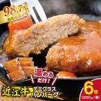 ハンバーグ 近江牛 煮込み 自家製 デミグラスソース 1.2kg