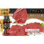 ふるさと納税 山形県 白鷹産 馬刺しブロック(生食用) 約4〜5人前 (約500g) 馬肉 馬刺し 刺身 肉 国産 冷蔵 山形県白鷹町