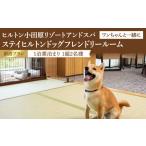 �ӂ邳�Ɣ[�� ���������ƈꏏ�ɃX�e�C�q���g���h�b�O�t�����h���[���[���f���܂�i�����j�y�I�[�V�����r���[ �t�B�b�g�l�X �V�R����嗁��.. �_�ސ쌧���c���s