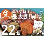 ふるさと納税 ヒオウギ貝22個セット（ホタテの仲間）【R00343】 高知県土佐清水市