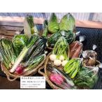 西洋野菜と季節の鹿児島野菜セット 4~6人ご家族用