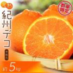 果肉プリプリ♪ 完熟紀州デコ 不知火 約5kg