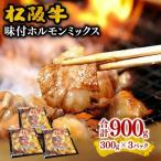 松阪牛味付ホルモンミックス 900g
