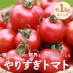 高糖度やりすぎトマト 1kg