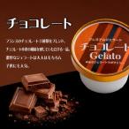 プレミアムジェラート チョコレート12個セット アイスクリームセット