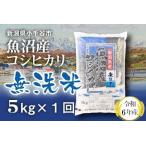 ふるさと納税 無洗米 令和6年産 魚沼産コシヒカリ 5kg 米太 /無洗米 無洗米 無洗米 無洗米 新潟県小千谷市