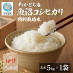 特別栽培 玄米 棚田で育てた魚沼産コシヒカリ 5kg
