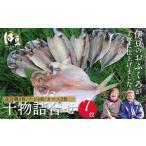 干物 ひものセット1