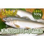 清流安田川の天然鮎 冷凍