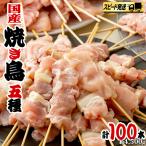 1本45g×100本 合計約4500g
