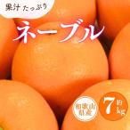 ネーブル 約7kg