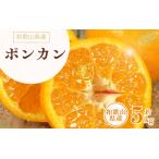 ポンカン 約5kg