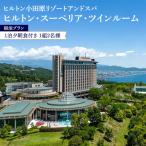ヒルトン スーペリア ツインルーム宿泊プラン
