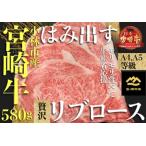 A4等級以上 産宮崎牛はみ出す贅沢リブロース 580g
