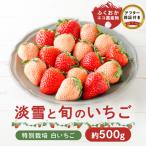 特別栽培 白いちご 天使のいちごと旬のいちご詰め合わせ紅…