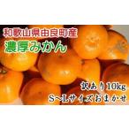 ふるさと納税 【訳あり・ご家庭用】和歌山由良町産のみかん約10kg(サイズおまかせ)※2025年11月下旬〜2025年12月下旬頃に発送予定(お届け日.. 和歌山県北山村