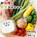 お味噌 野菜セット 野菜8種 みそ詰め合わせ