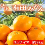 有田みかん大玉約9kg 3Lサイズ