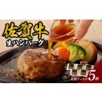 ふるさと納税 丸福 ハンバーグ 5個(8月配送)|ハンバーグ ハンバーグ ハンバーグ ハンバーグ ハンバーグ ハンバーグ【A113-08】 佐賀県玄海町