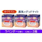 SA2205 めぐりズム 蒸気でグッドナイト 36枚
