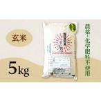 E1-G051B 長岡産コシヒカリ玄米5kg