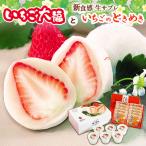 いちご大福 6個入