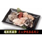 Y165 産牛 ミックスホルモン600g