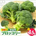訳あり ご ブロッコリー 約4.5kg