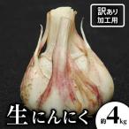 加工用 訳あり 生にんにく 約4kg