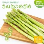 柔らかさと甘みが際立つ さぬきのめざめセミロング30cm