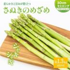 柔らかさと甘みが際立つ さぬきのめざめセミロング30cm