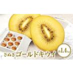 fu.... налог ... Gold киви несессер примерно 1.4kg[2026 год 10 месяц средний .~2027 год 1 месяц последняя декада рассылка ] Kagawa префектура Takamatsu город 