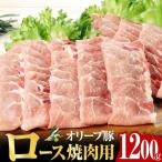 オリーブ 豚 ロース 焼肉 1200g