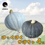 fu.... налог Hokkaido каштан гора блок производство ..... тыква 4 шар Hokkaido каштан гора блок 