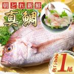 鯛まるごと 1匹