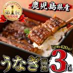 i506 産うなぎ蒲焼3尾セット 約140g×3