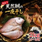 天然鯛の一夜干し 訳あり 2.0kg