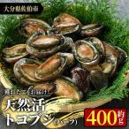 天然 トコブシ 約400g