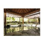 ふるさと納税 美術館 鶴巻温泉弘法の里湯・宮永岳彦記念美術館入場チケット　005-10 神奈川県秦野市