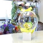 �ӂ邳�Ɣ[�� �t�����[�o���[���@���Ⴟ����y3-97�z �O�d������s