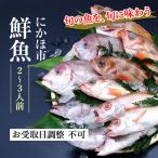 セット 類 日本海の鮮魚 下処理済み