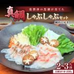 常磐沖の黒潮が育てた真鯛のしゃぶしゃぶ_