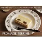 FROMAGE TERRINE スイーツ
