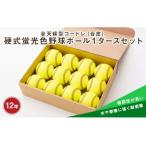 全天候型コードレ 合皮 硬式蛍光色野球ボール1ダースセット