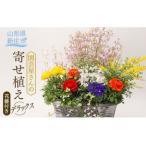 園芸屋さんの寄せ植えデラックス F3S-0808