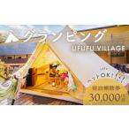 ふるさと納税 【UFUFU VILLAGE】 伊豆 温泉 グランピング　宿泊 補助券 30,000円分   グランピング 旅行 クーポン グランピング 星空 グランピン.. 静岡県伊豆市