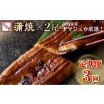 うなぎ蒲焼き 2尾