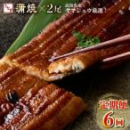 うなぎ蒲焼き 2尾