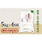 E1-S056B 長岡産コシヒカリ5kg