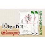 E1-S106B 長岡産コシヒカリ10kg